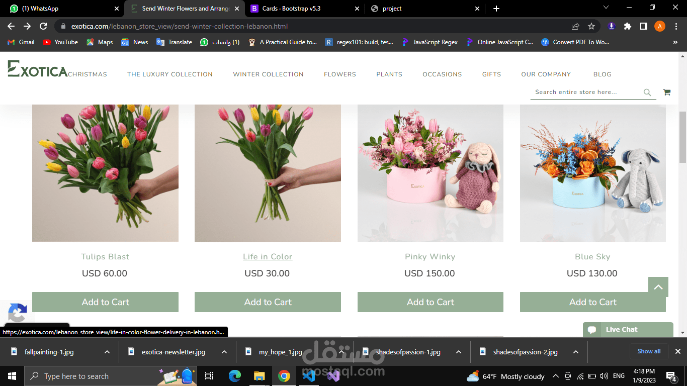 تصميم واجهات موقع "ورود" – HTML / CSS / Bootstrap 5 (Responsive)