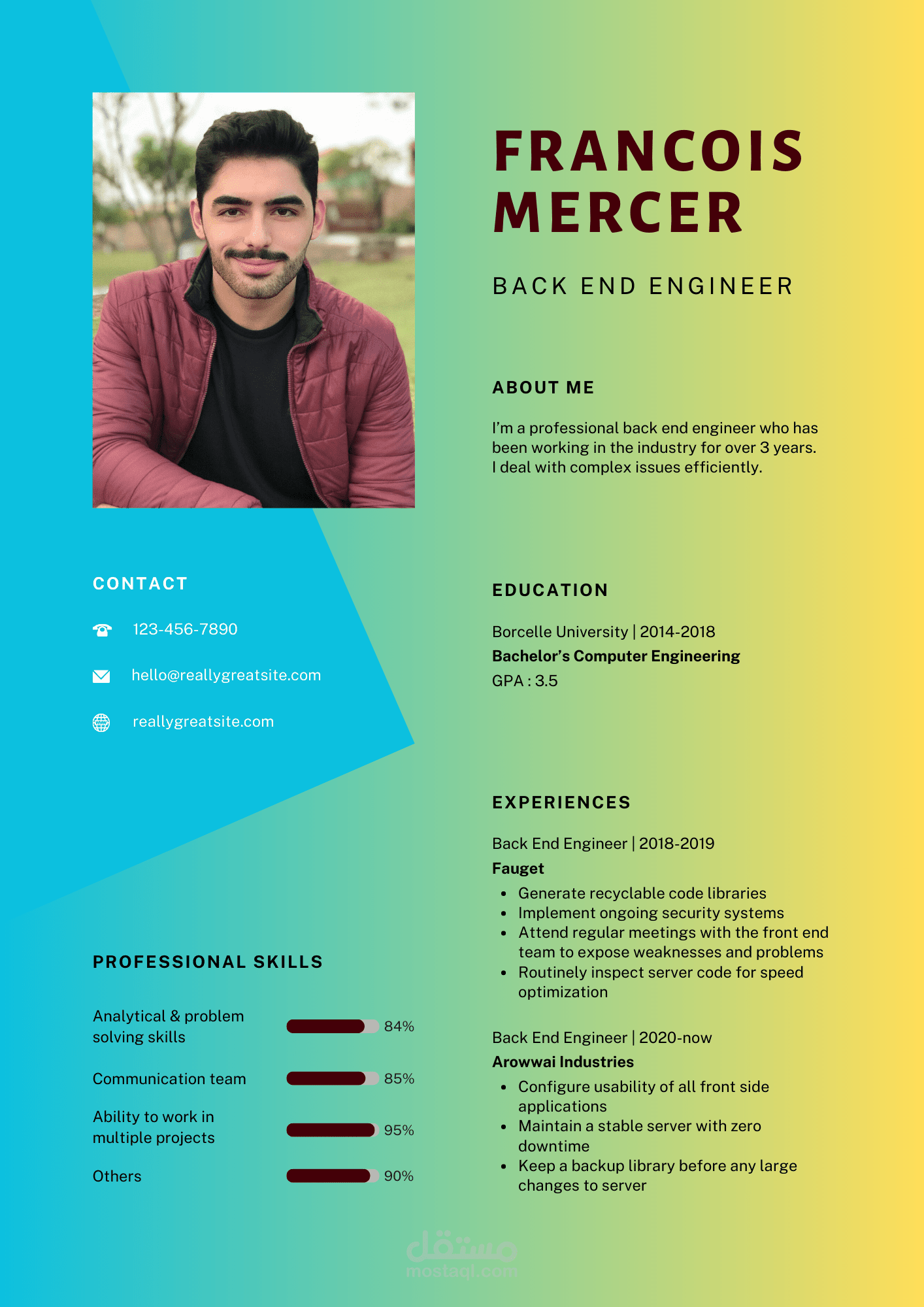 سيره ذاتيه احترافيه