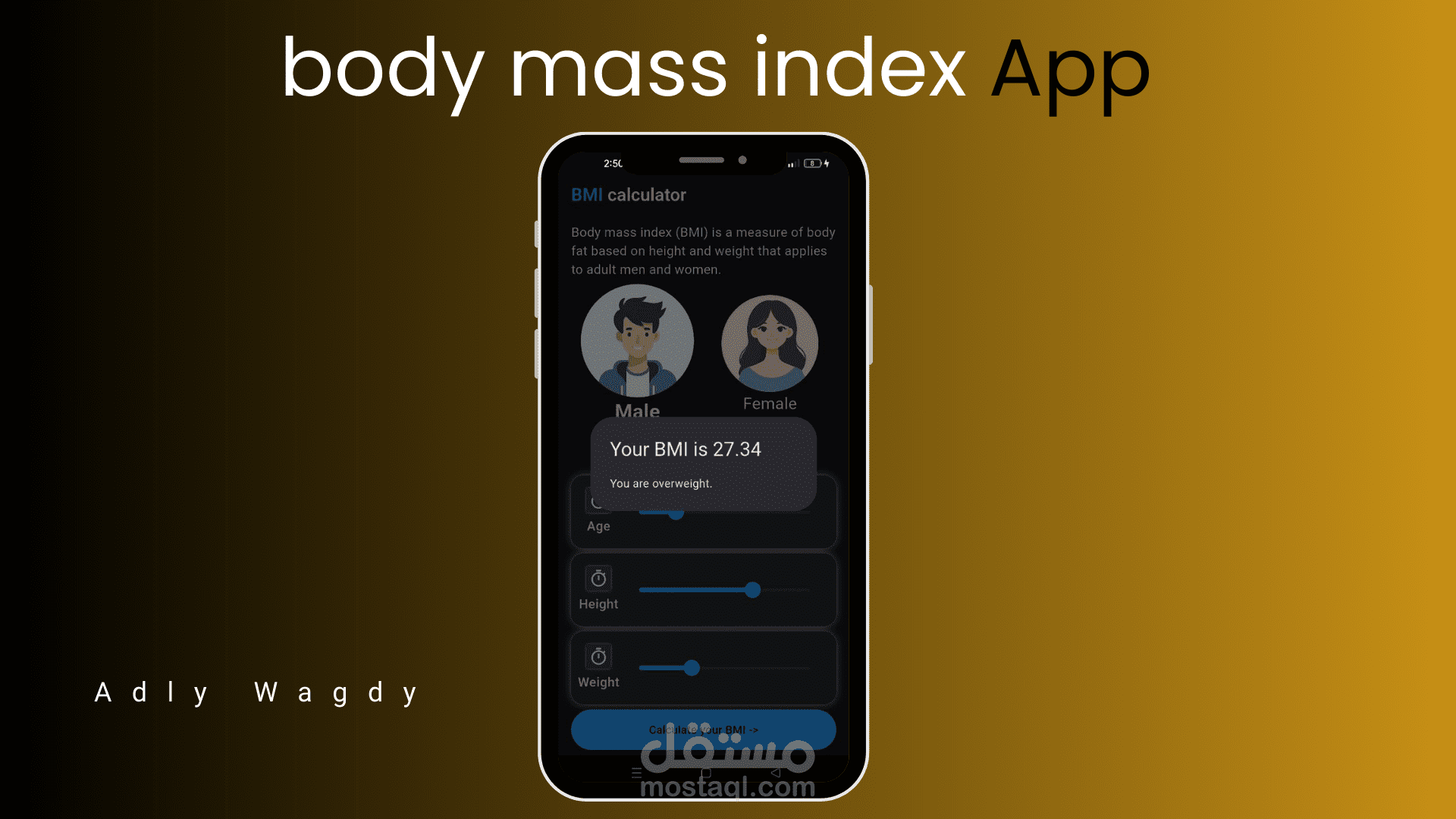 BMI App