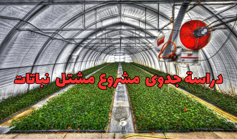 دراسة جدوى مالية لمشروع مشتل نباتات