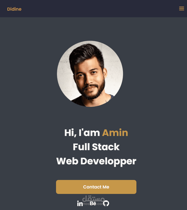 صفحة هبوط Portfolio