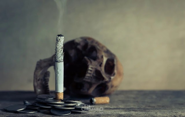 مقالة عن التوقف التدخين