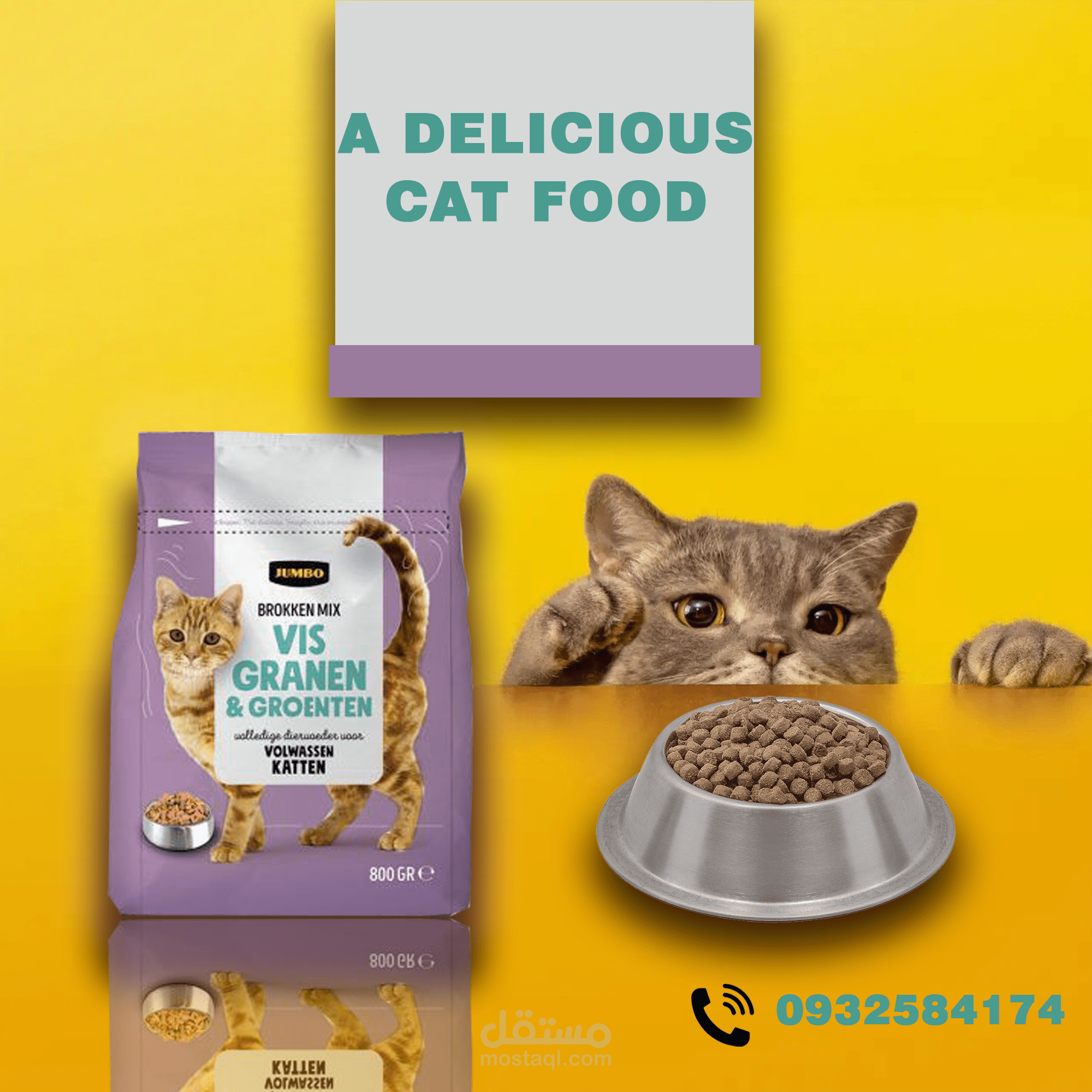 إعلان طعام قطط