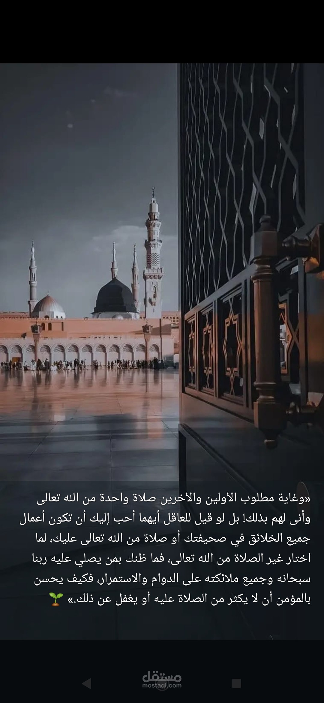 متخصص مونتاج فيديوهات قصيرة