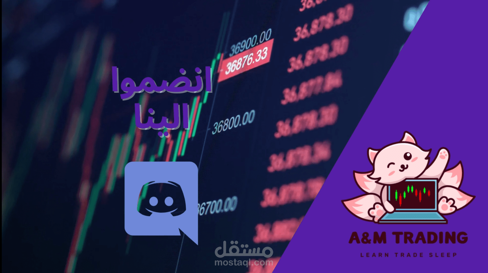 موشن جرافيك