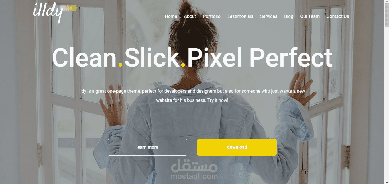 Illdy company landing page