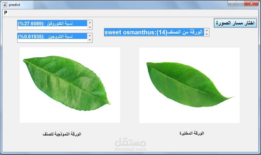 استخدام الذكاء الصناعي في التعرف على نوع النباتات من صورة أوراقها