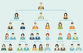 organizational structure