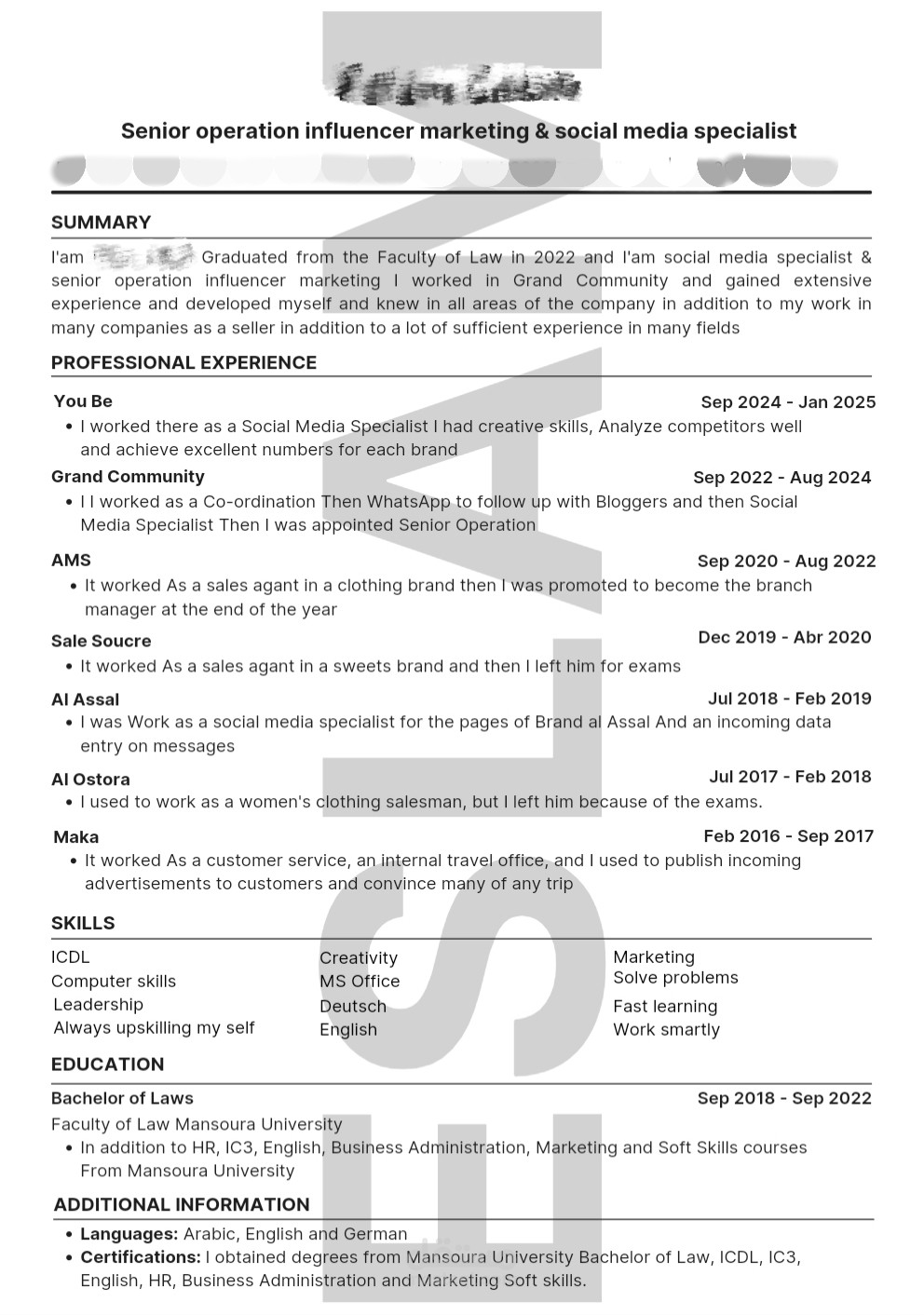 Professional CV or ATS CV