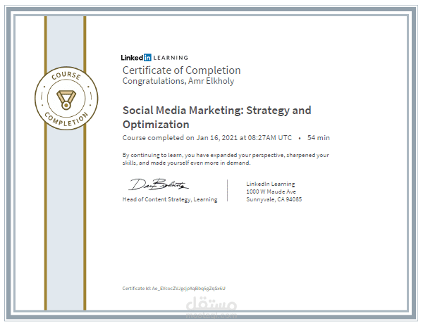 Social Media Marketing: Strategy and Optimization
