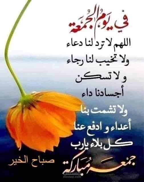 فيديو