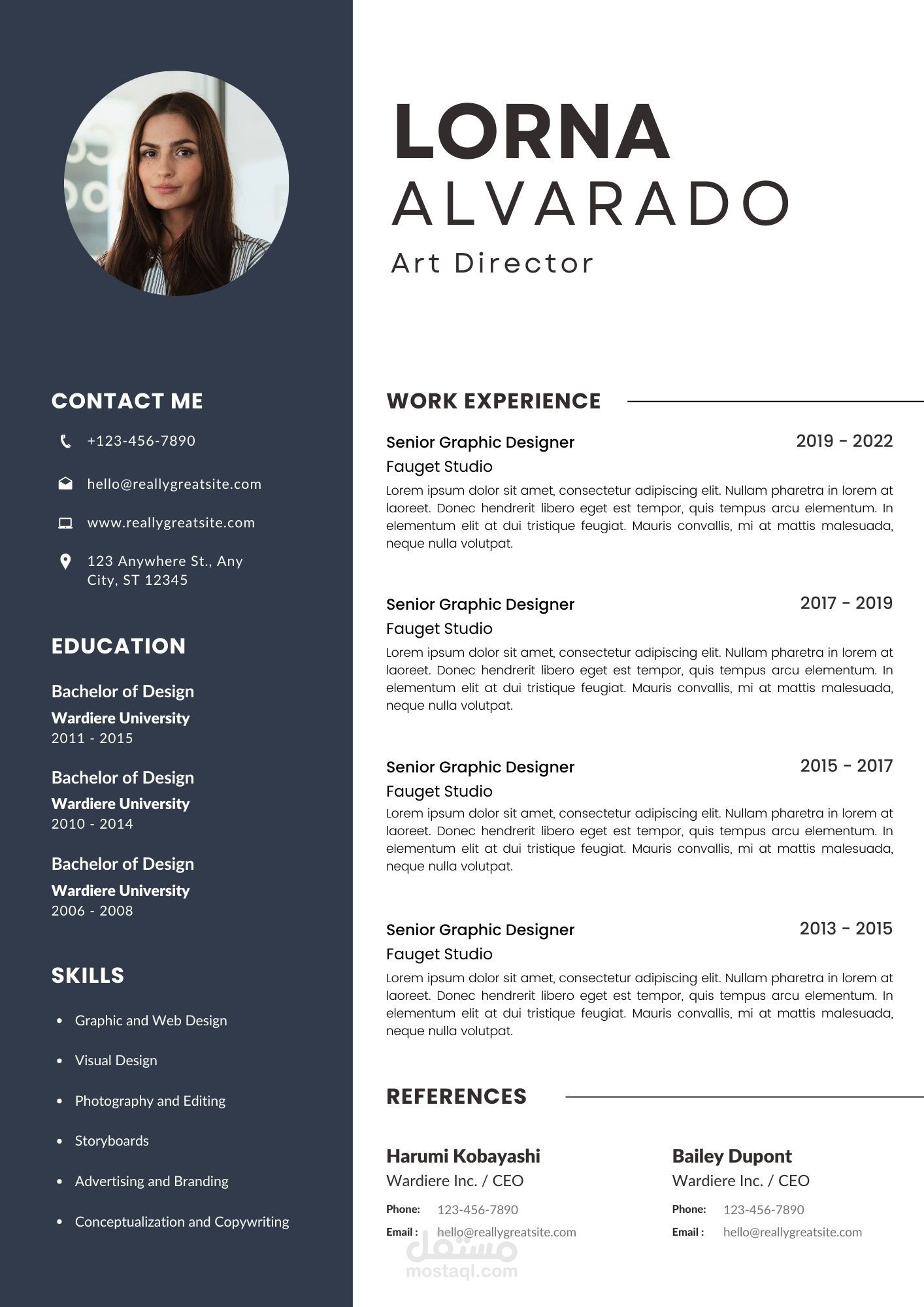 كتابه سيره ذاتيه Professional CV