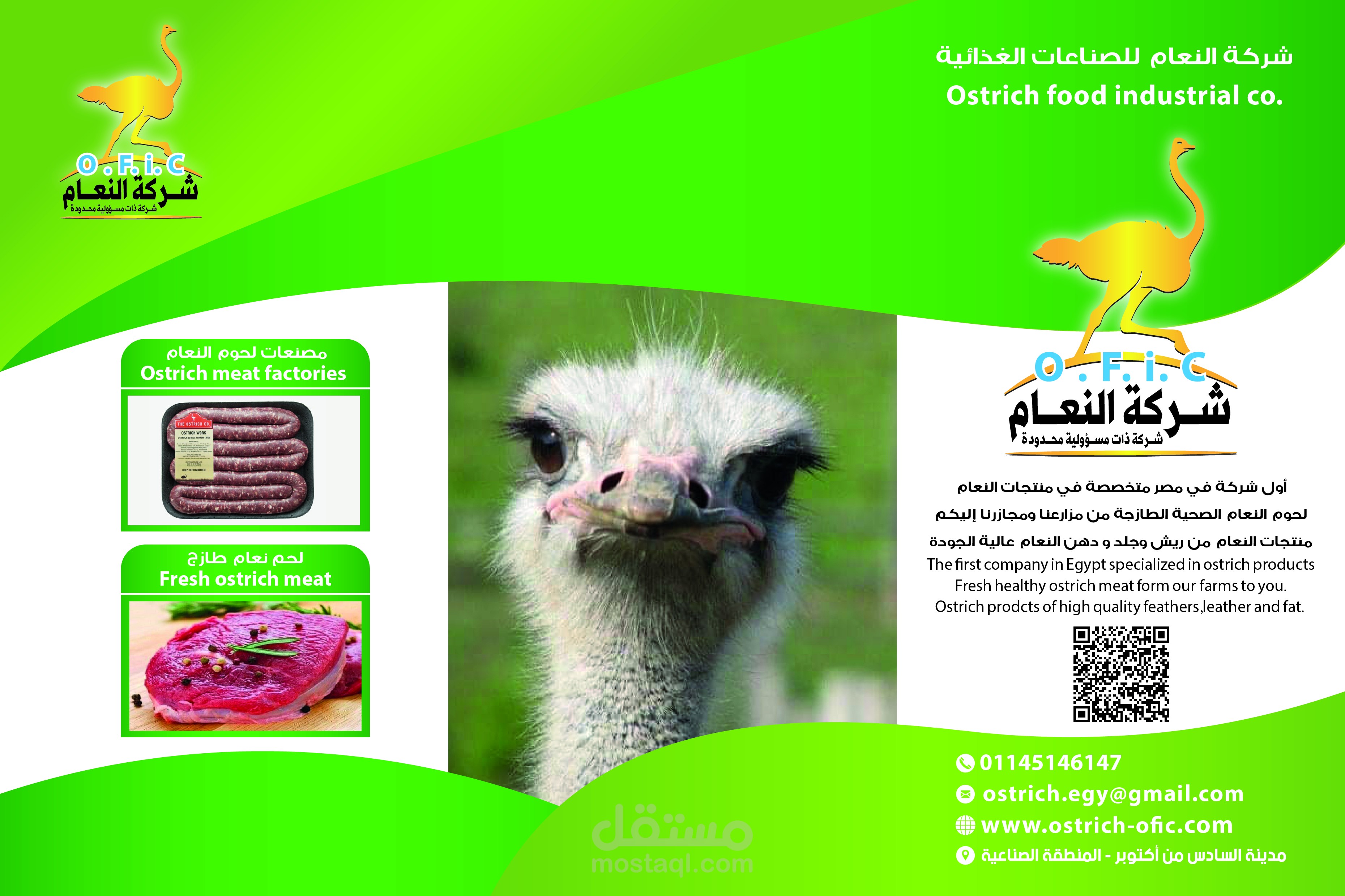 مطبوعات دعاية
