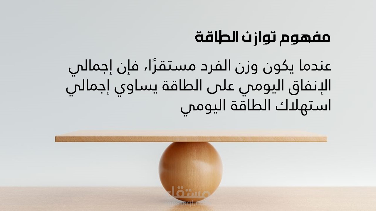 تصميم حقائب تدريبية احترافية مميزة