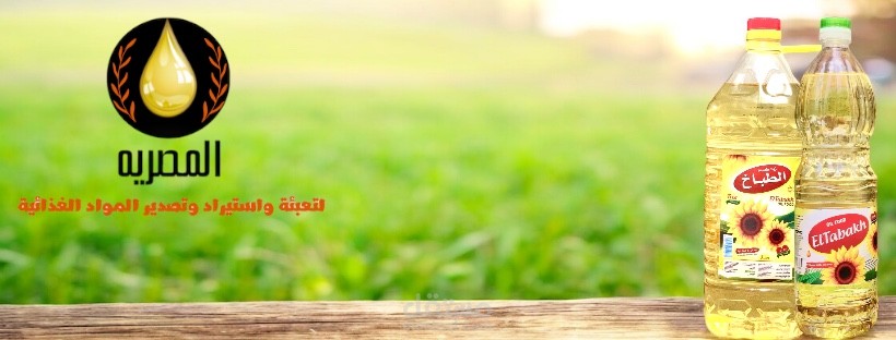 اجيد الكتابه ع الورد و تحويل الملفات وعمل هويات بصريه