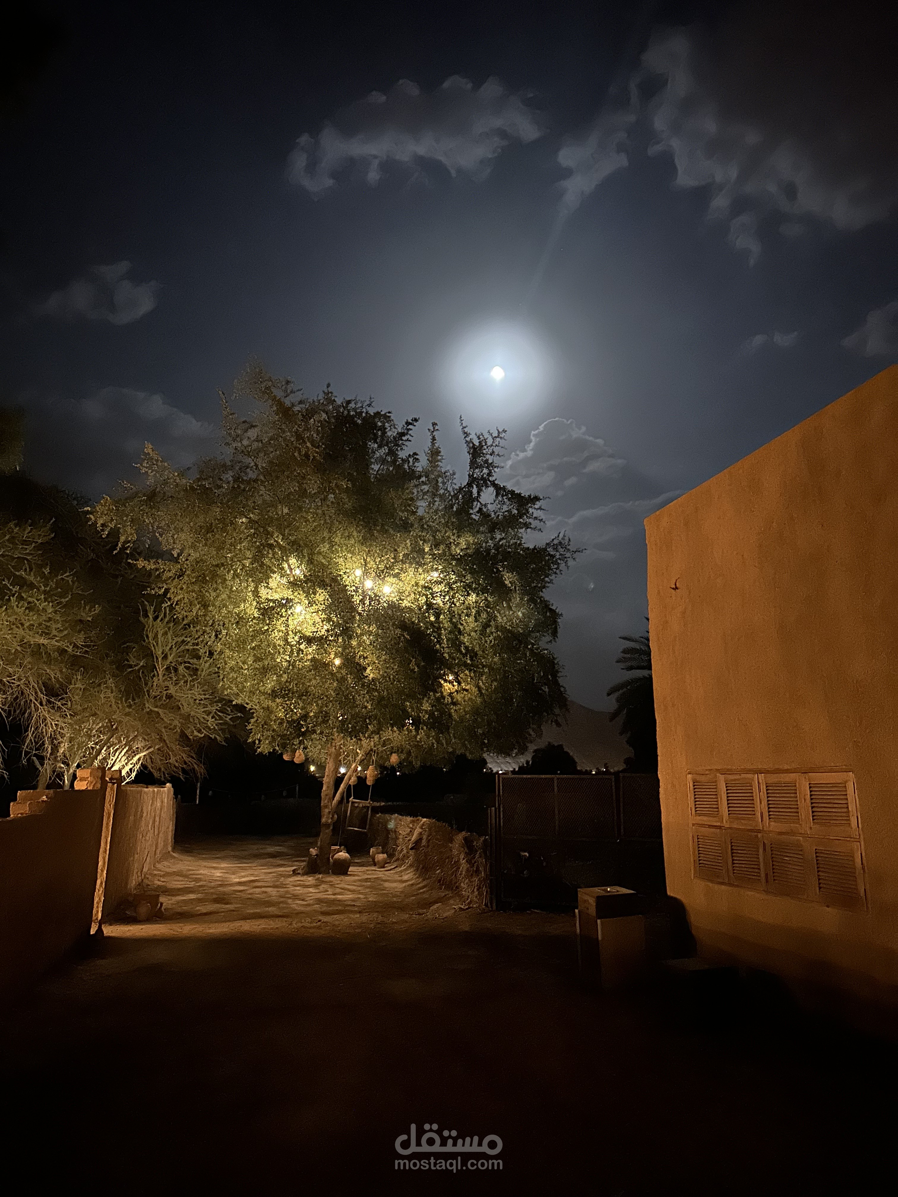 مصمم ومبرمج
