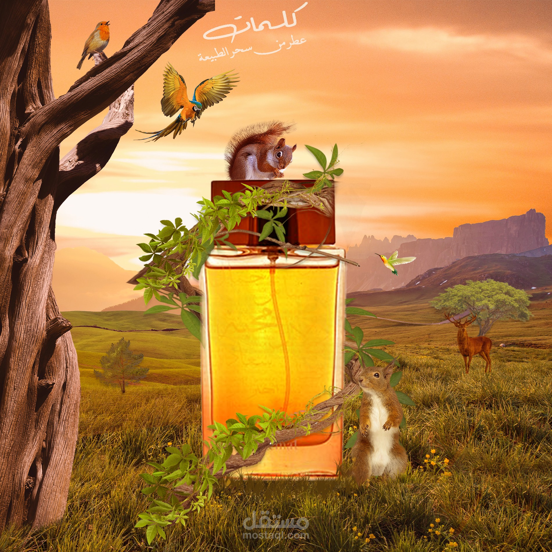 سوشيال ميديا عطور