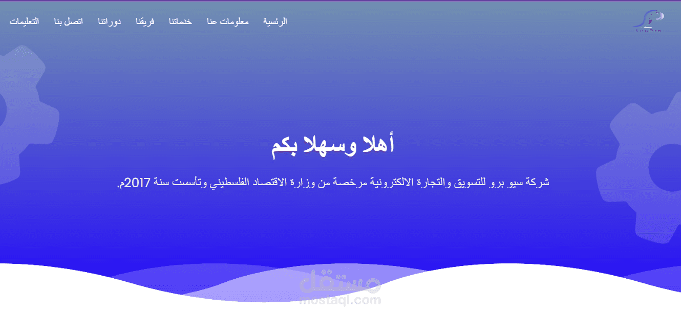 شركة سيو برو