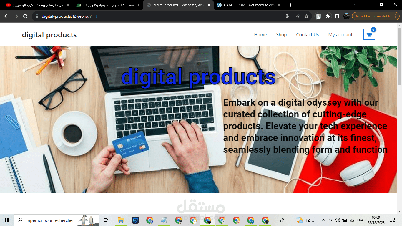 تصميم موقع يبيع المنتجات الرقمية