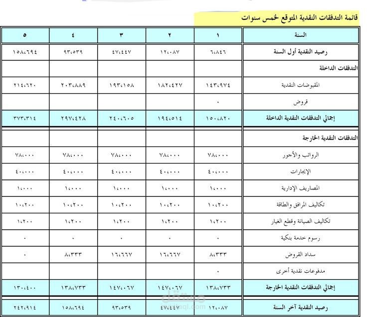 عمل دراسة جدوى مشروع لمدة خمس سنوات