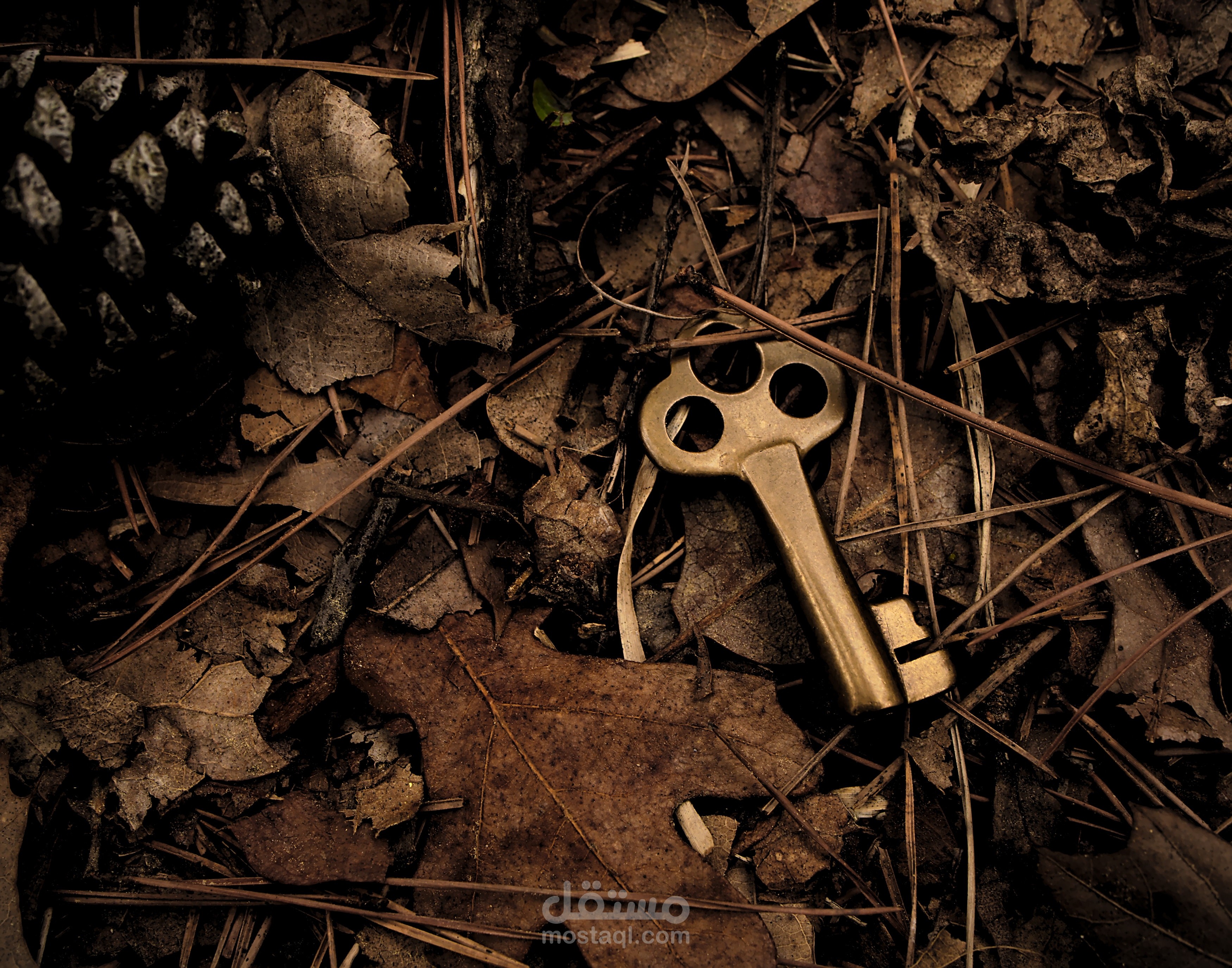 " مفاتيح الخلود العشرة "