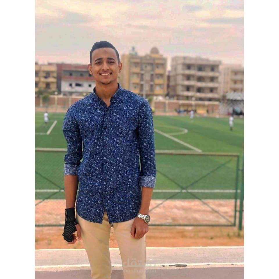 مسوق الكترونى