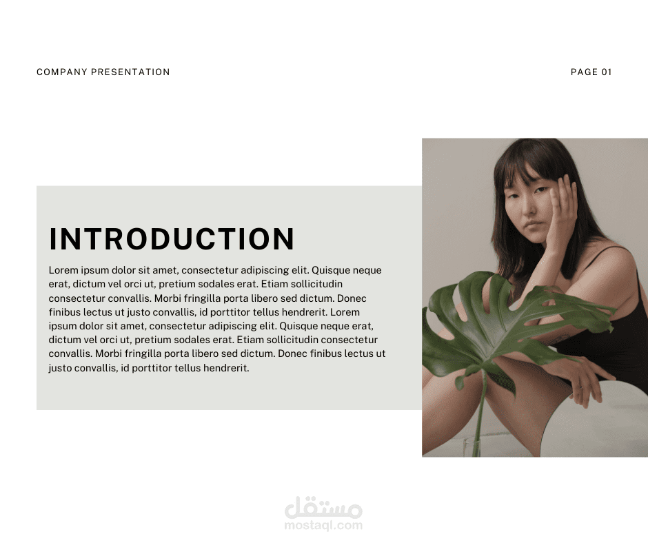 تصميم ملف تعريفي لشركه