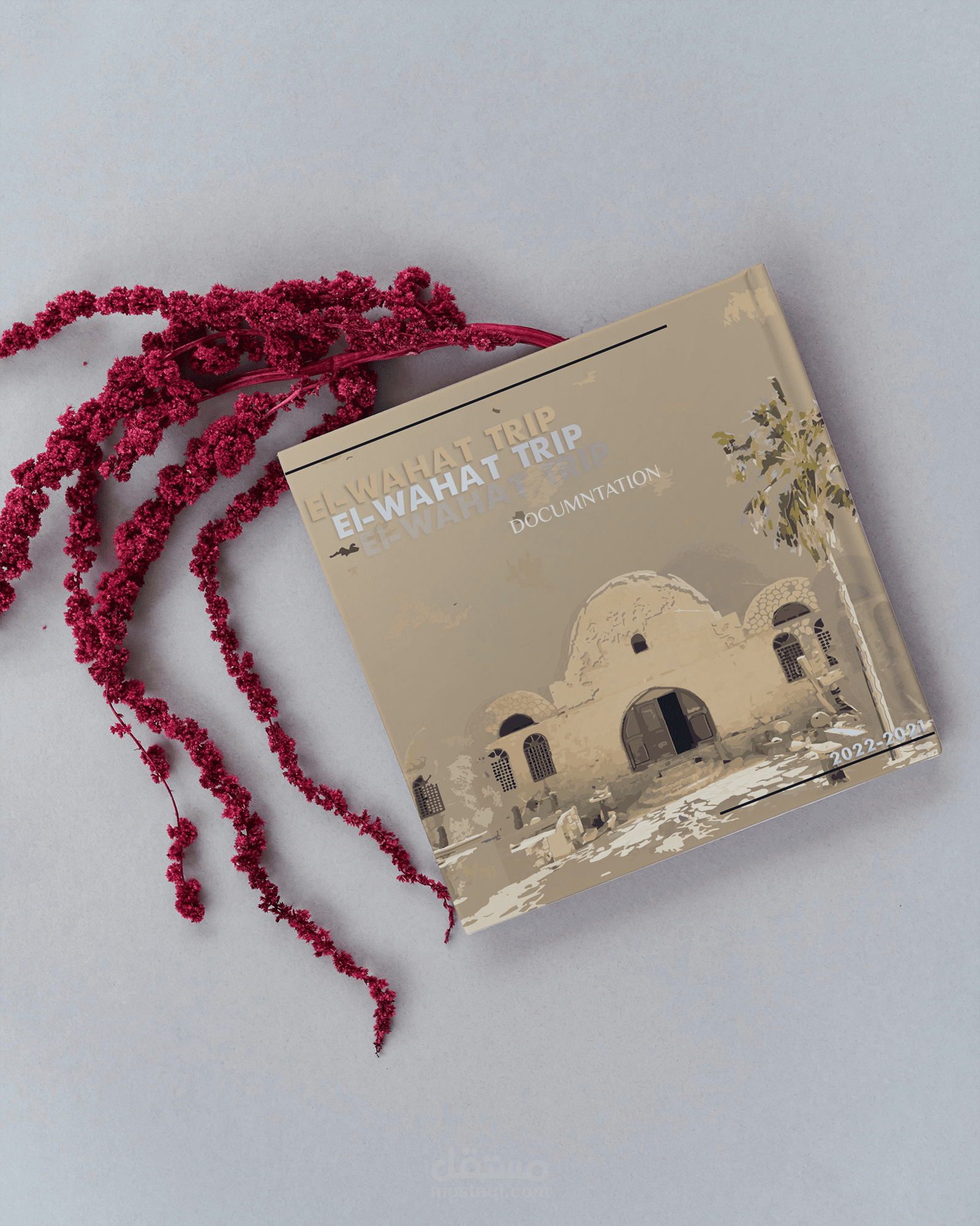 غلاف كتاب توثيقي-جامعة هليوبوليس-Book Cover of a documentation-Heliopolis University