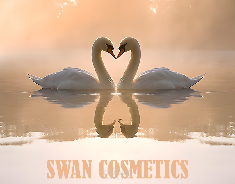 swan cosmetics shop