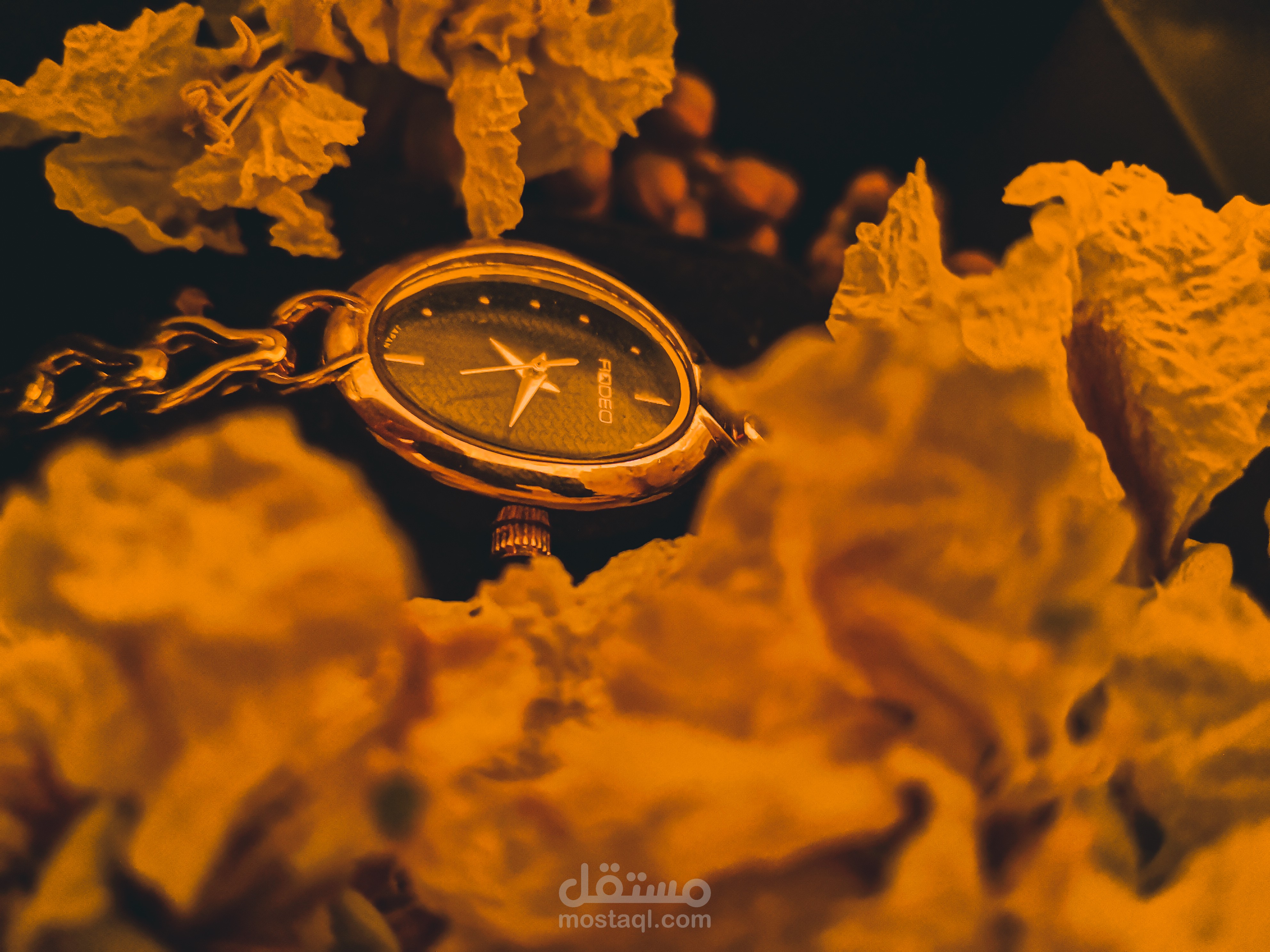 تصوير بعض المنتجات