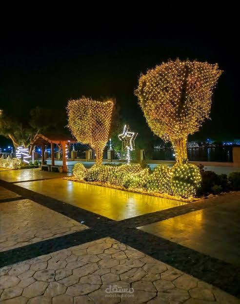 ظواهر سياحه