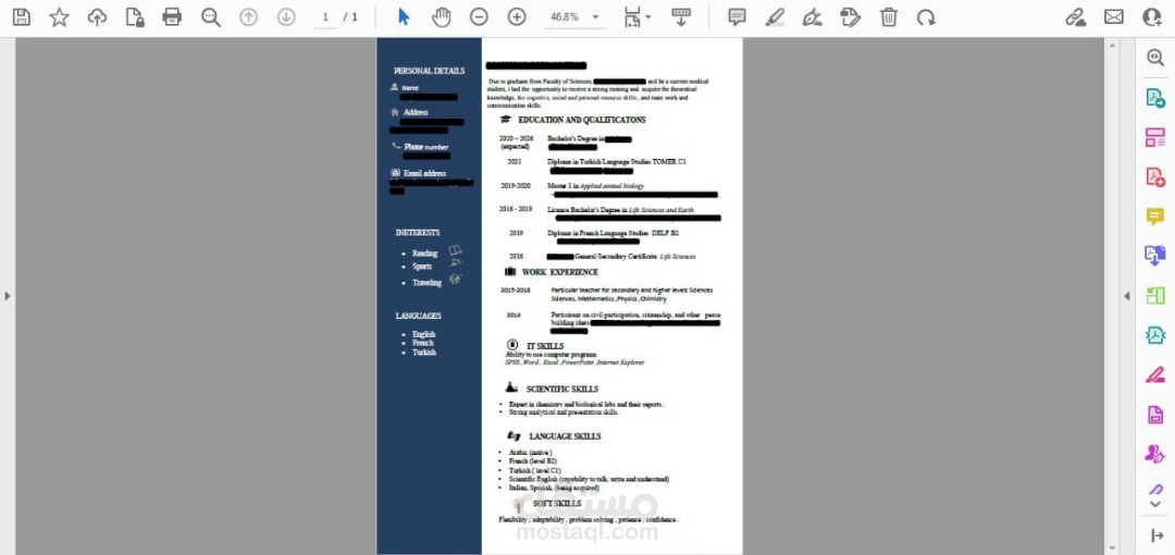 السيرة الذاتية CV