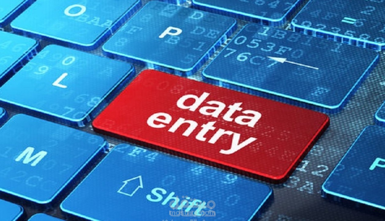 مدخل بيانات- data entry Excel and Word and all the data