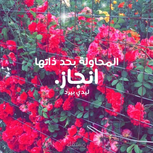 انجاز الحياة