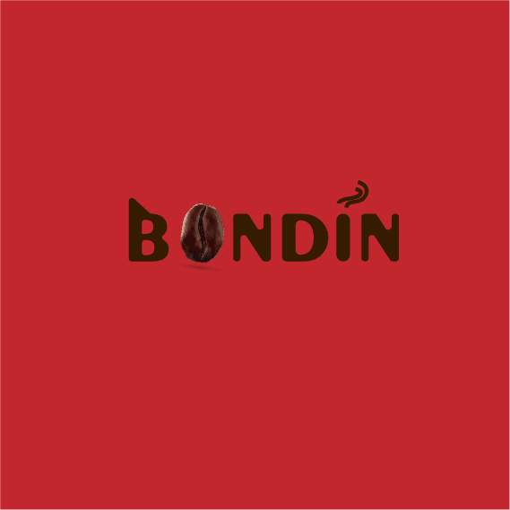 Bondin logo redesign
