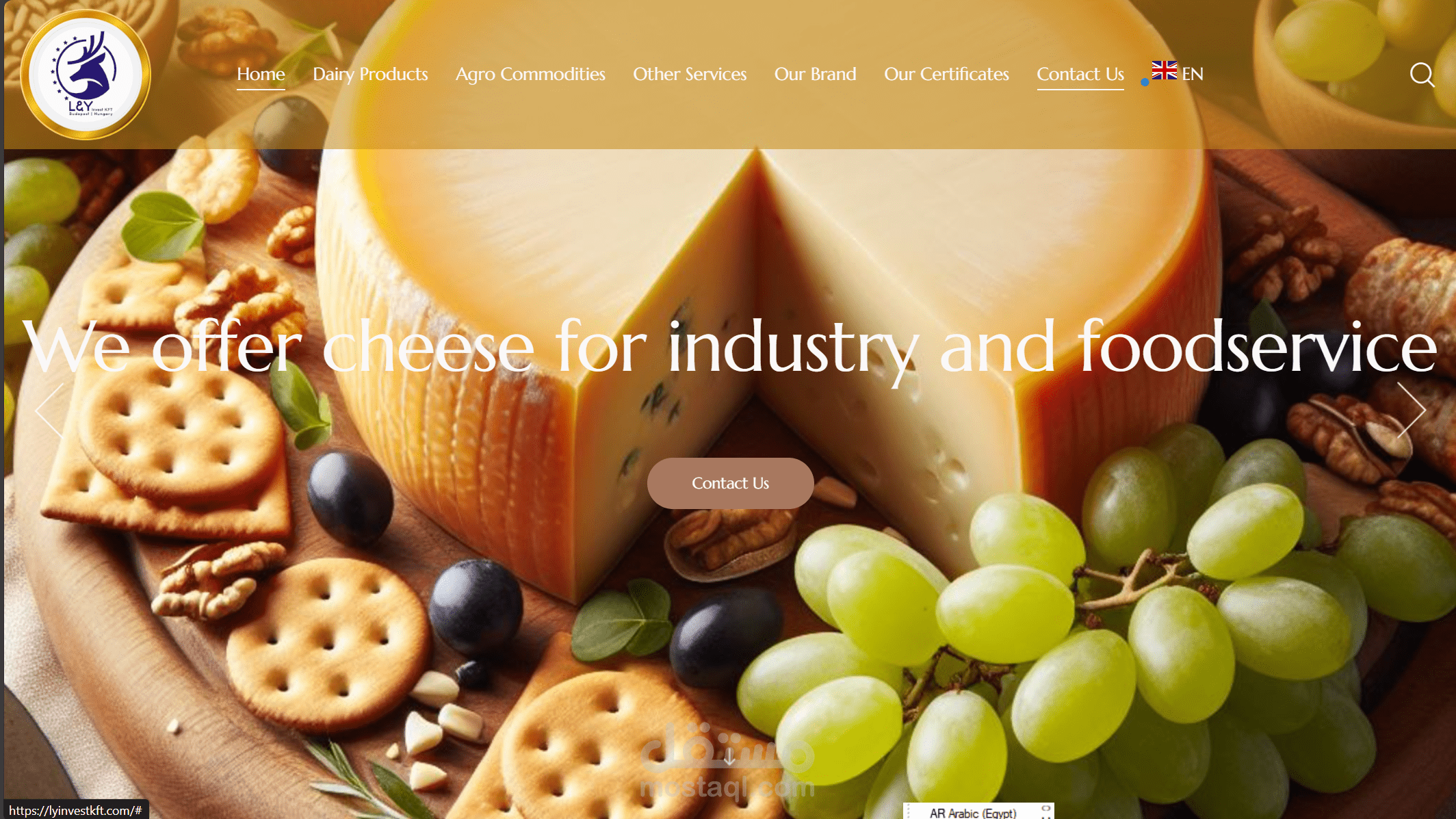 تم عمل موقع إلكتروني بالوردبريس لشركة L and Y Invest Kft