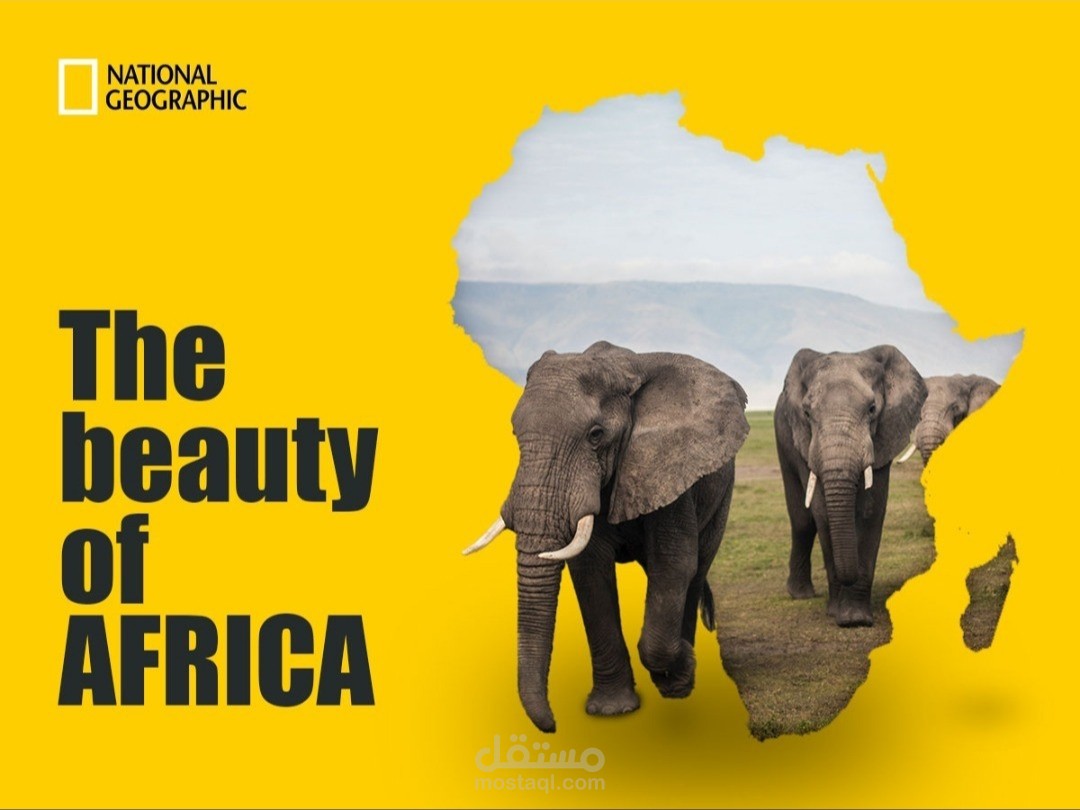 تصاميم السوشال ميديا