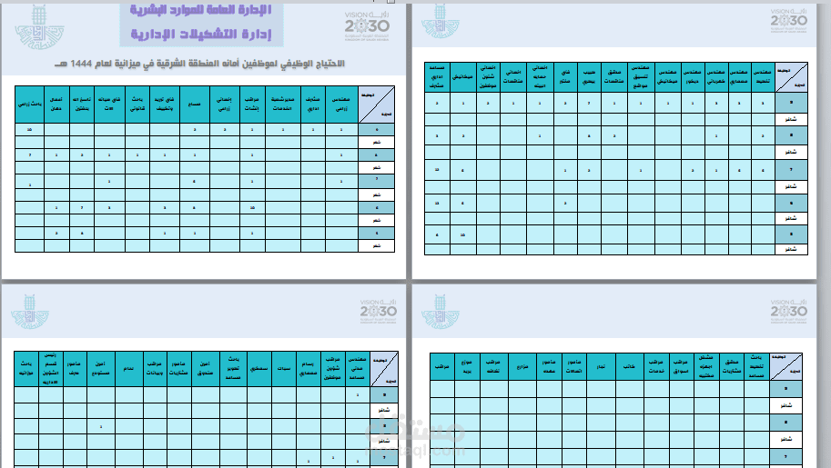 تصميم جداول اكسيل ليوم التأسيس2023 و ادخال بيانات