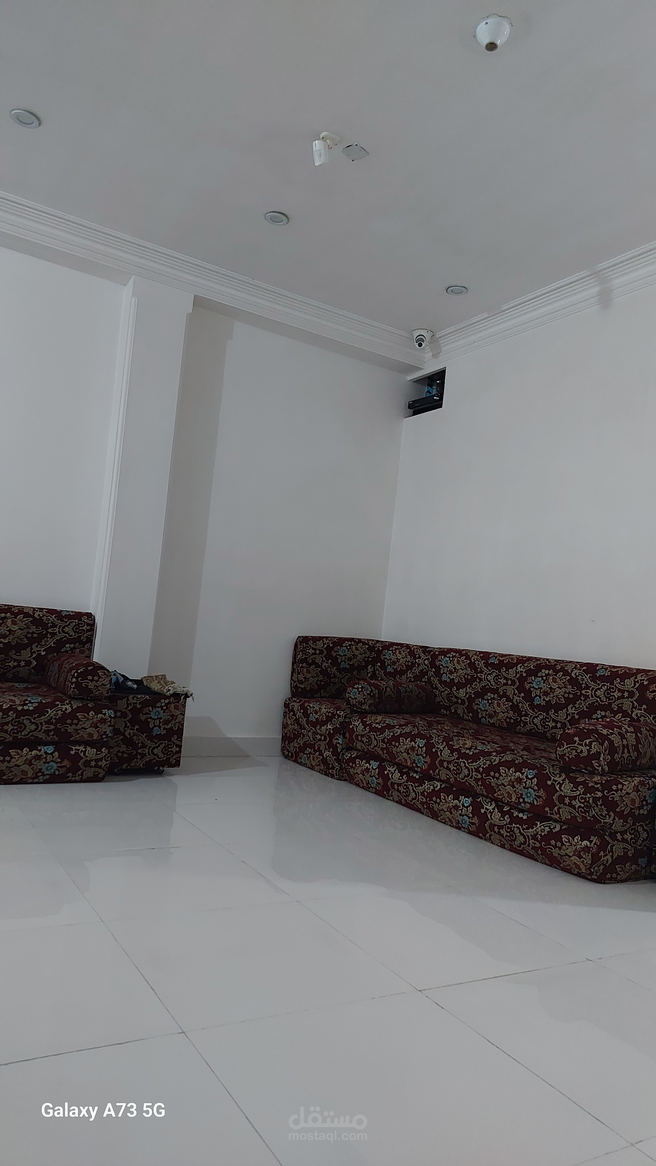 مصصم جرافيك ومهندس