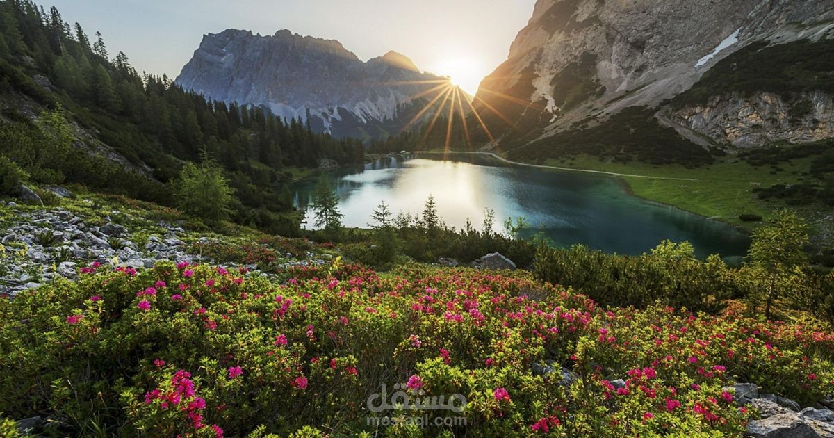 40 مكرر شارع ابراهيم البعثى