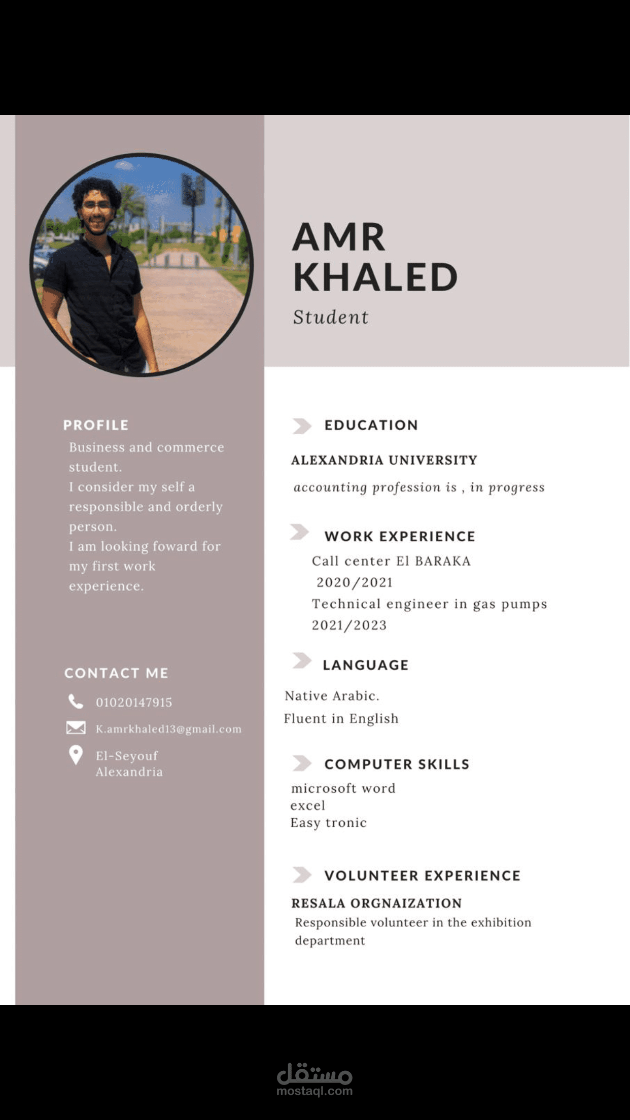 Professional CV