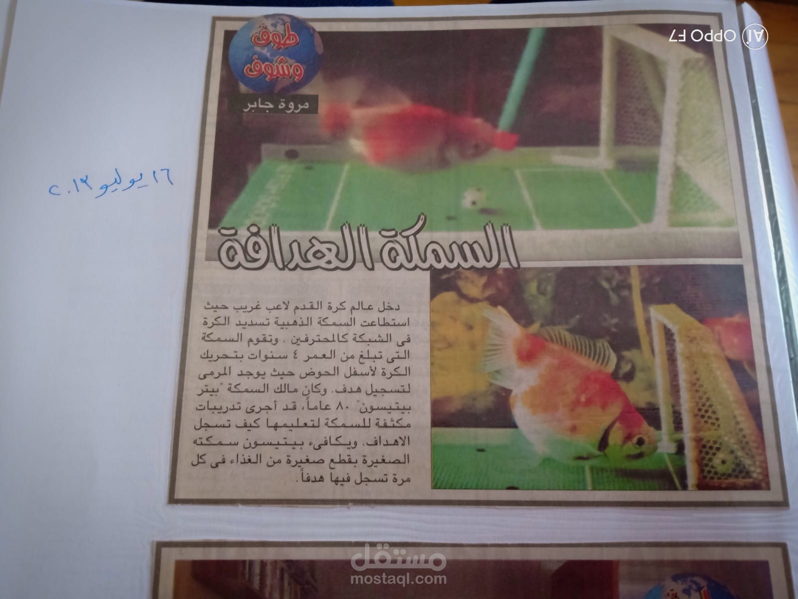 طوف وشوف...نشر بجريدة اخبار المصرية