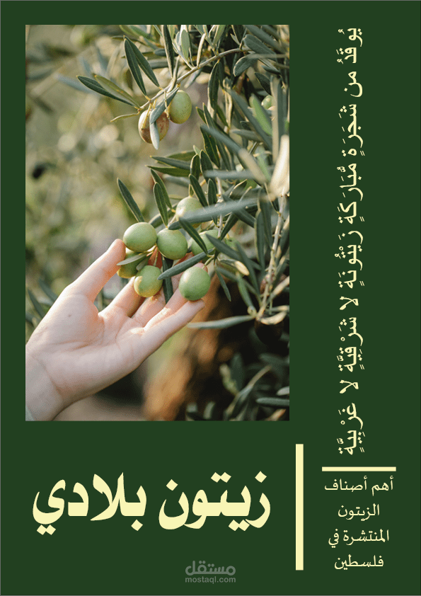 مجلة زيتون بلادي