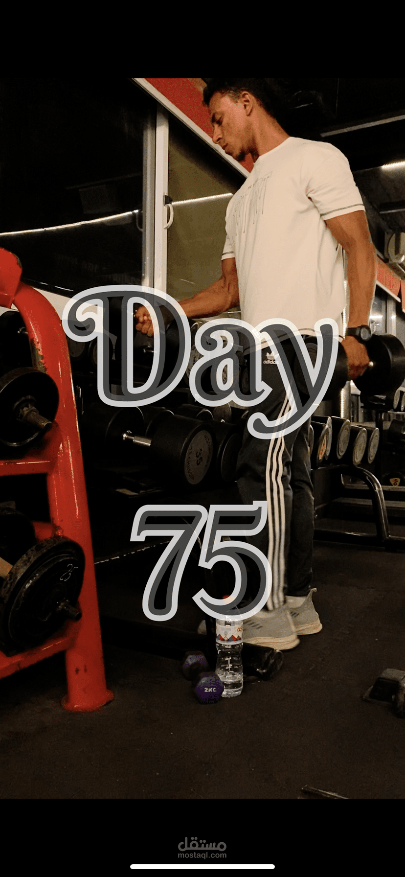 اليوم ال75