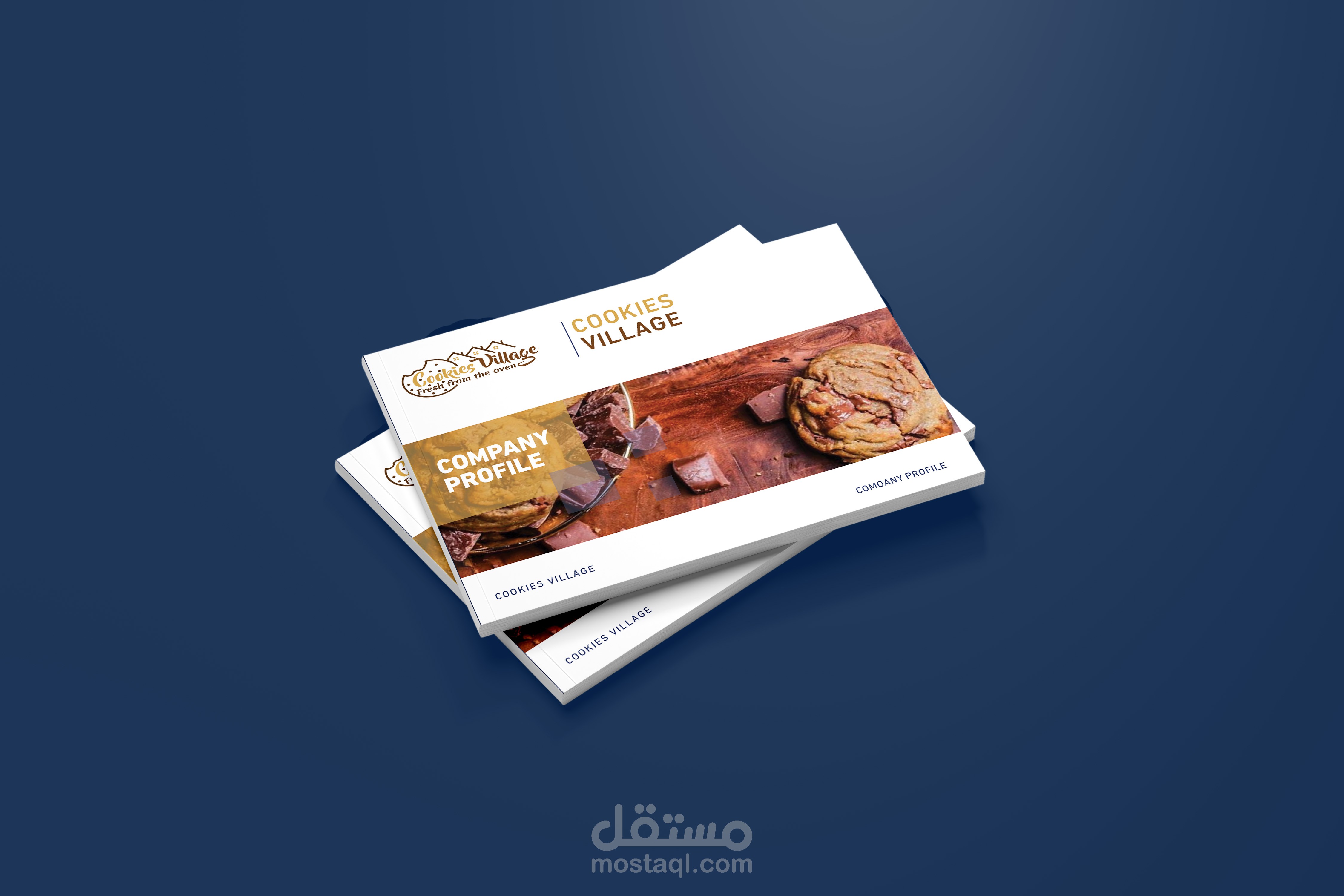 ملف تعريفي لشركة تجارية راقية