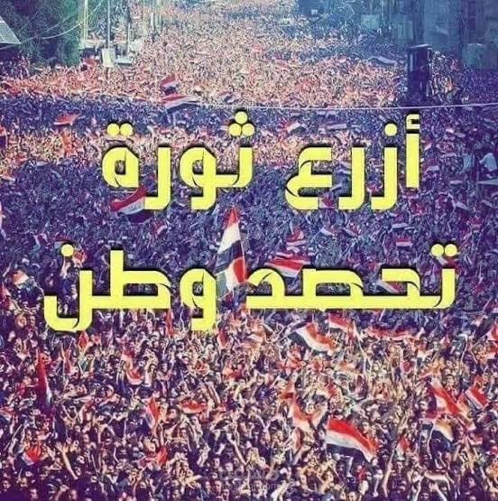 وردة (قصة قصيرة)