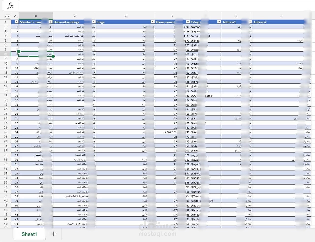 إدخال وتنظيم بيانات أعضاء فريق تطوعي باستخدام Excel