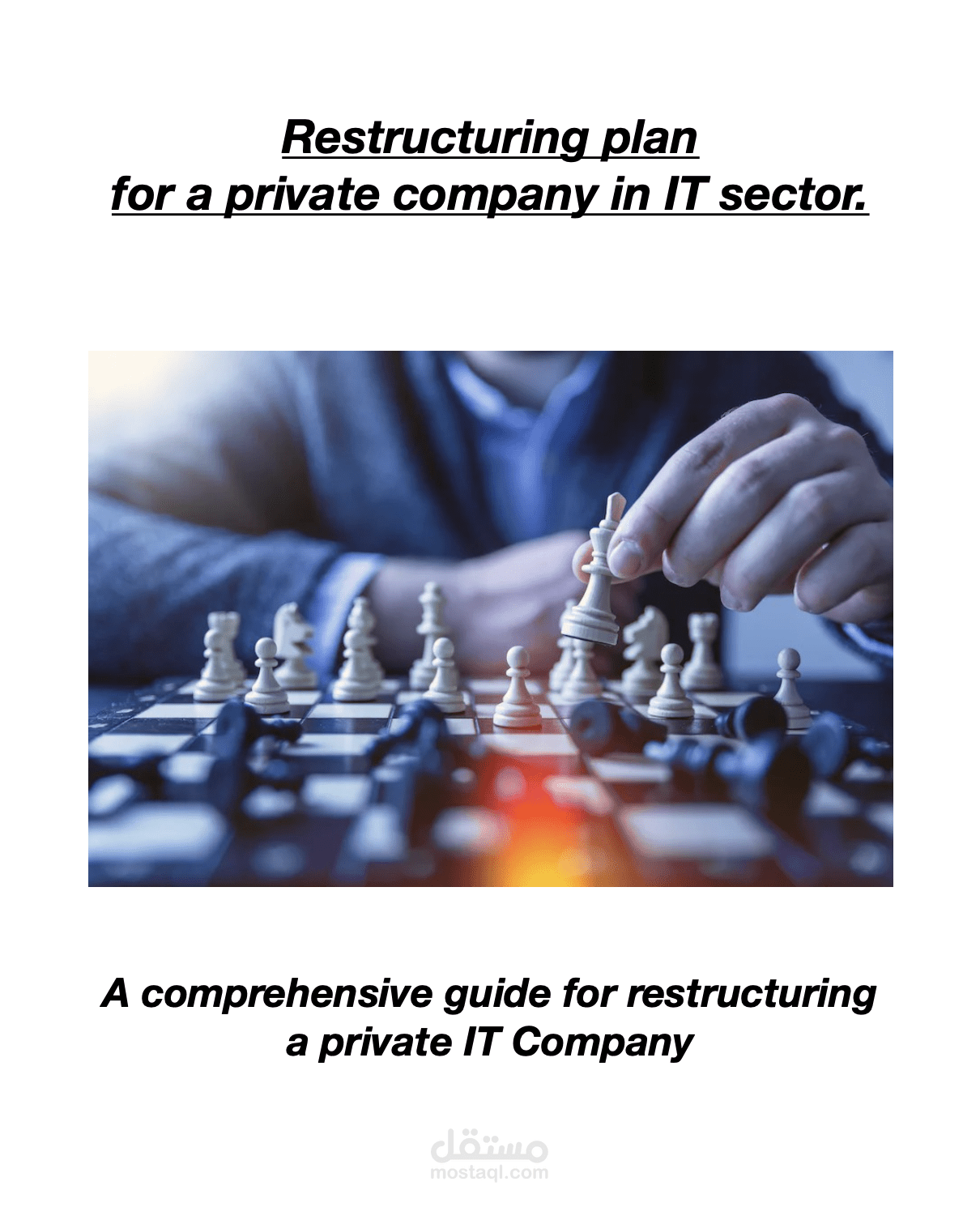 Restructuring plan  for a private company in IT sector خطة إعادة الهيكلة لشركة خاصة في قطاع تكنولوجيا المعلومات.