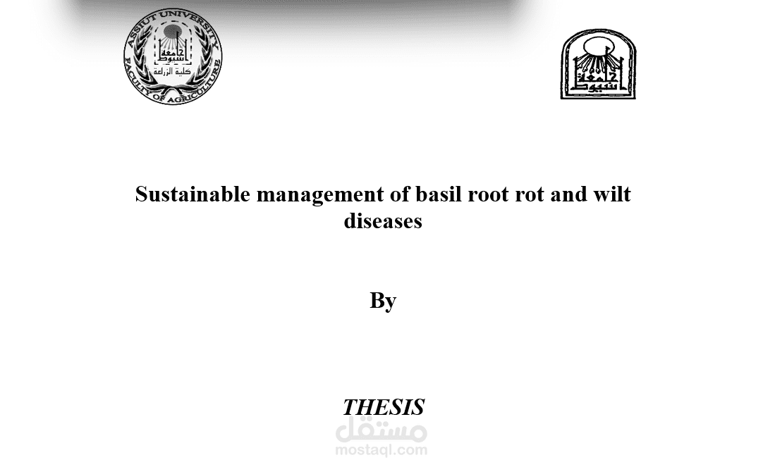 Sustainable management of basil root rot and wilt diseases