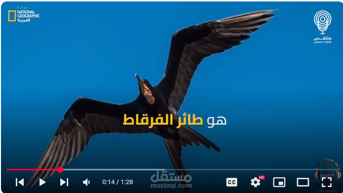 وثائقي غير رسمي بصوتي بعنوان طائر الفرقاط